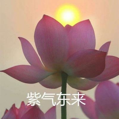 武道天下游戏下载